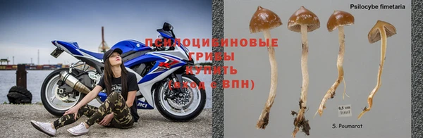 герыч Балахна